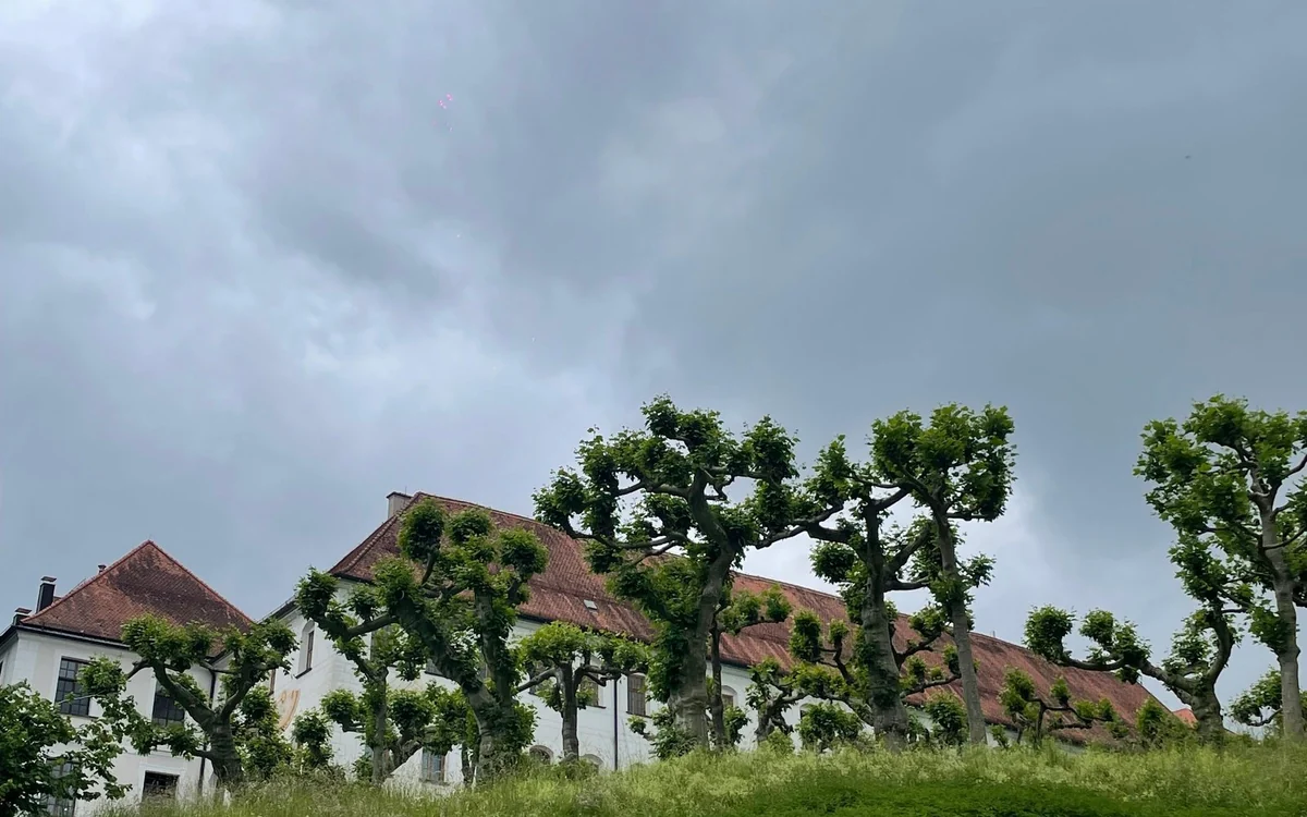 A long white building with red tiled roofs behind a row of pollarded trees under a grey sky