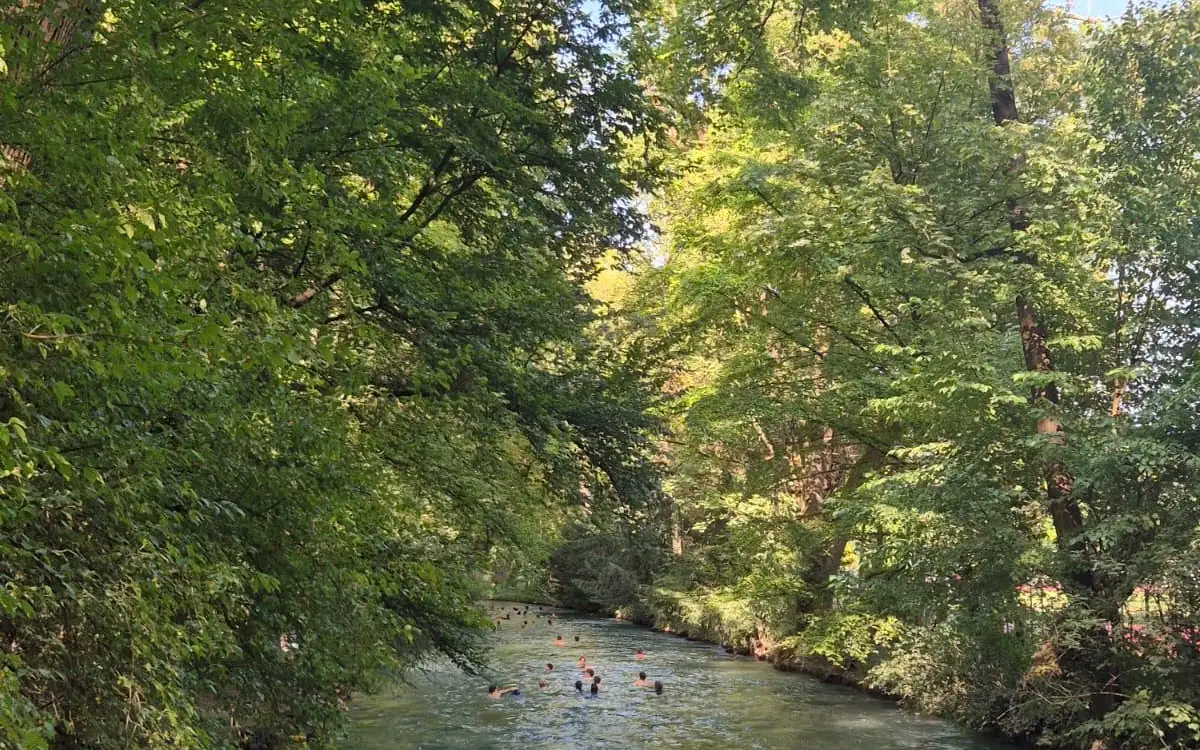 Swimmers in a narrow green stream under tall trees in a city park