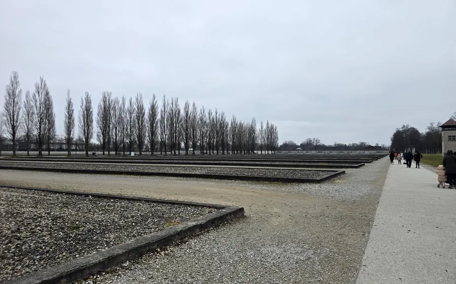 Reihen von Pappeln neben den Kiesfundamenten der ehemaligen Baracken in Dachau